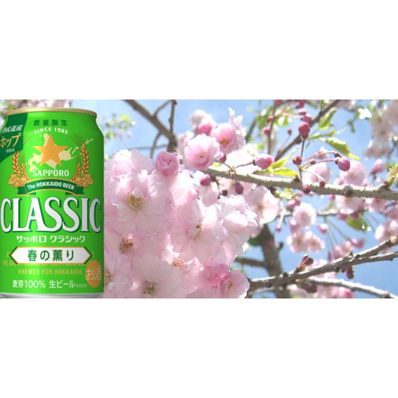 北海道 サッポロ クラシック ビール 春の薫り 500缶/24入 2箱 北海道