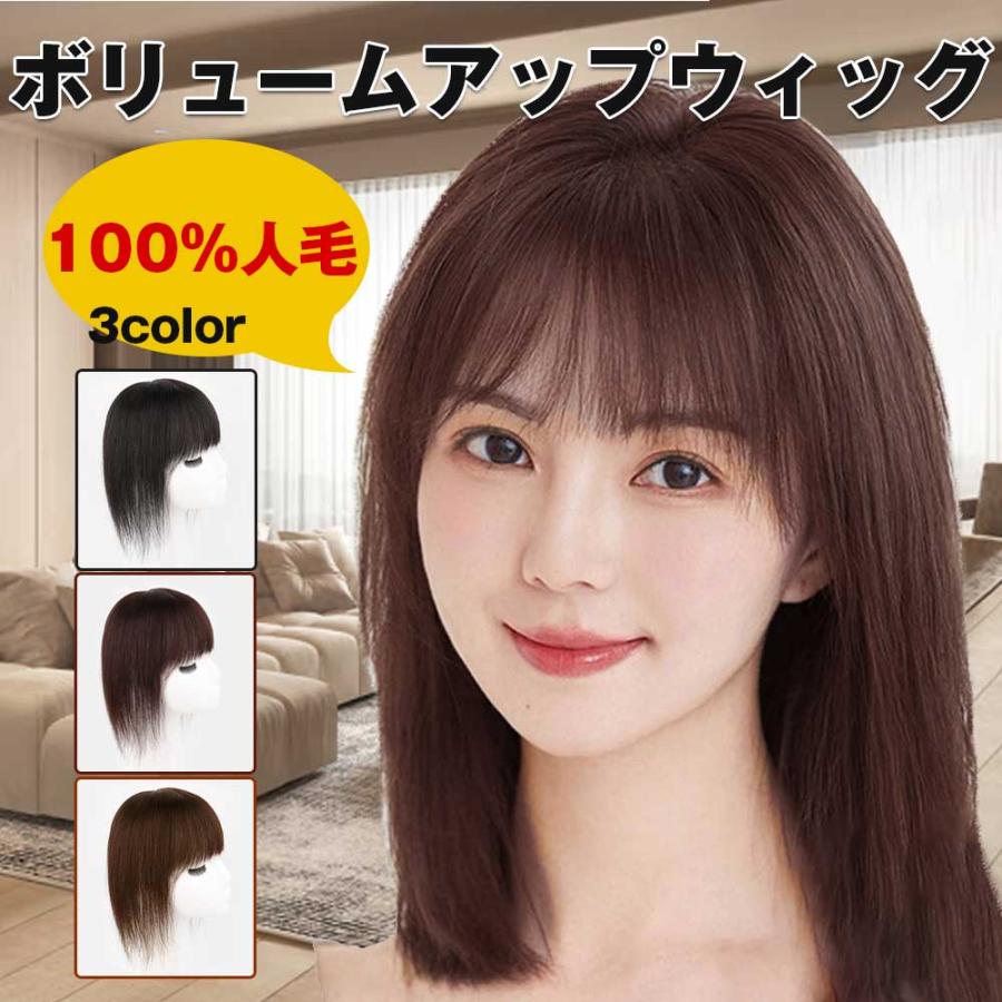 ヘアピース 人毛100% 頭頂部 ウィッグ 自然  ミディアム 30cm ストレート  ボリュームアップ 薄毛 脱毛 白髪 部分ウィッグ トップウィッグ かつら つけ毛｜hou-a｜05