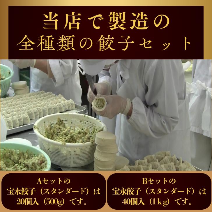 餃子】宝永餃子全種Aセット(専用たれ付き) ぎょうざの宝永 餃子】宝永餃子全種Aセット(専用たれ付き) ぎょうざの宝永