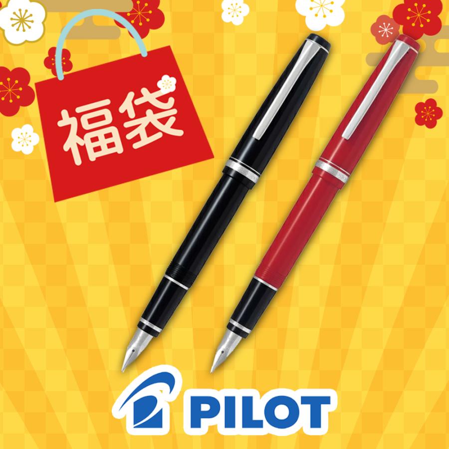 PILOT（パイロット） 2026年 福袋 エラボー 万年筆 樹脂軸 FE-18SR