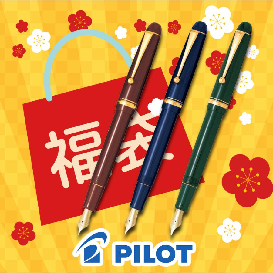 PILOT（パイロット） 2026年福袋 カスタム74 万年筆 FKKN-12SR : 高級