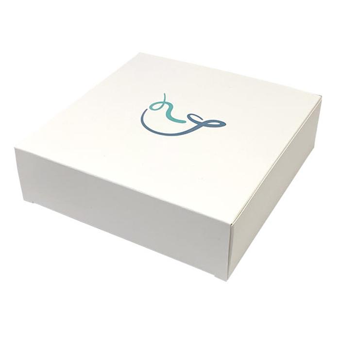 ナーワル（ナーヴァル）ノーティラス セファロポッド 万年筆　Fサイズ ナーワル（ナーヴァル）ノーティラス セファロポッド 万年筆 F