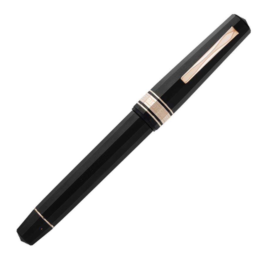 限定生産品 OMAS オマス オマス・ザ・パラゴン 150625 万年筆 FP