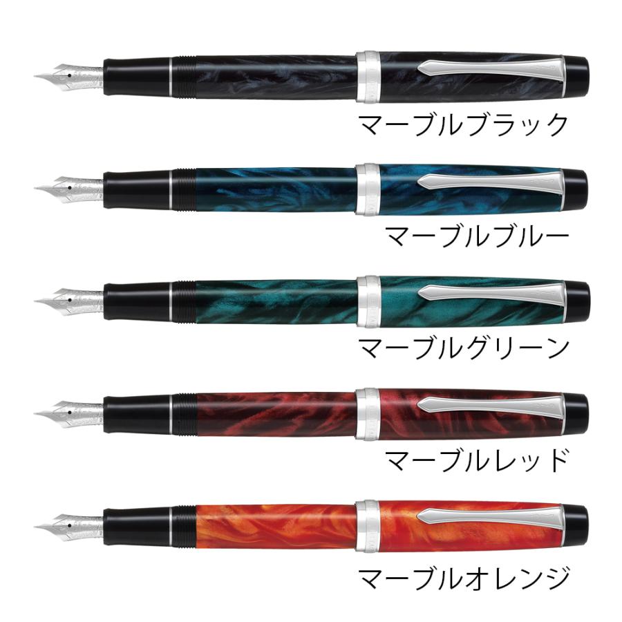 PILOT（パイロット） カスタムヘリテイジSE 万年筆 FKVH-3MR マーブル