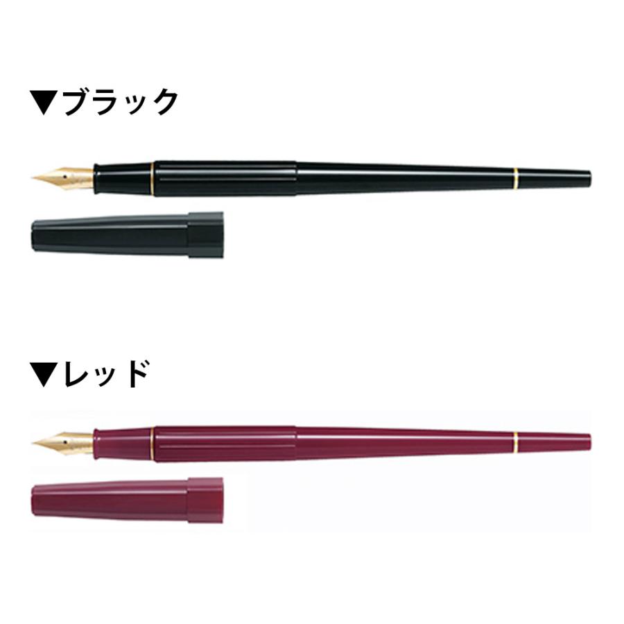 PILOT（パイロット） ネコポスOK PILOT デスクペン 万年筆 P-DPP-1S-B