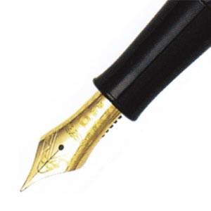 プラチナ万年筆 万年筆 PLATINUM #3776 最高級会津卵殻 蒔絵 水芭蕉