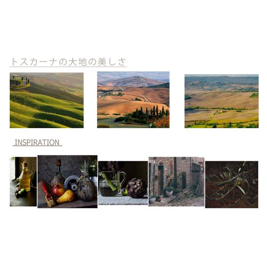 限定品 Visconti Homo Sapiens Tuscan Hills ヴィスコンティ ホモ