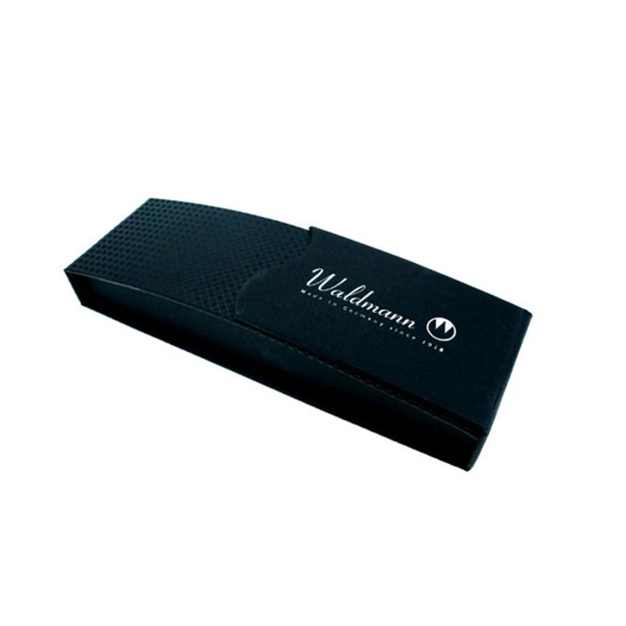 Waldmann ヴァルドマン Tango タンゴ ルテニウム 万年筆 WDMN-2300