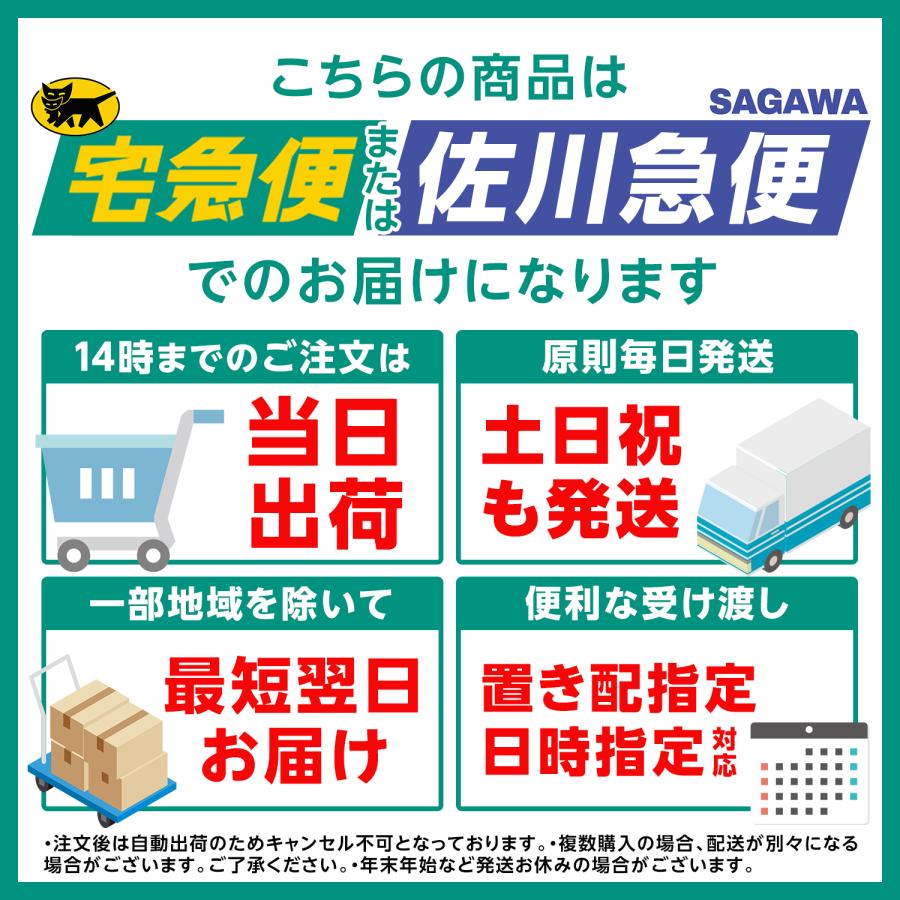水中ポンプ 小型 12V/24V ビルジポンプ 船舶 ボート 海水対応 ワニ 