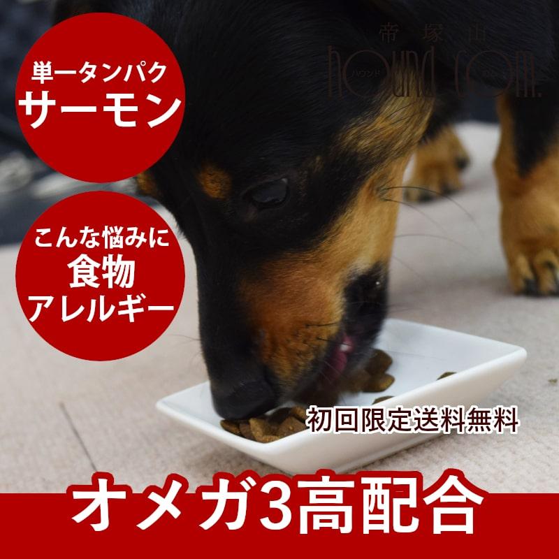 初回限定送料無料 犬用ドッグフード AATU アートゥー サーモン