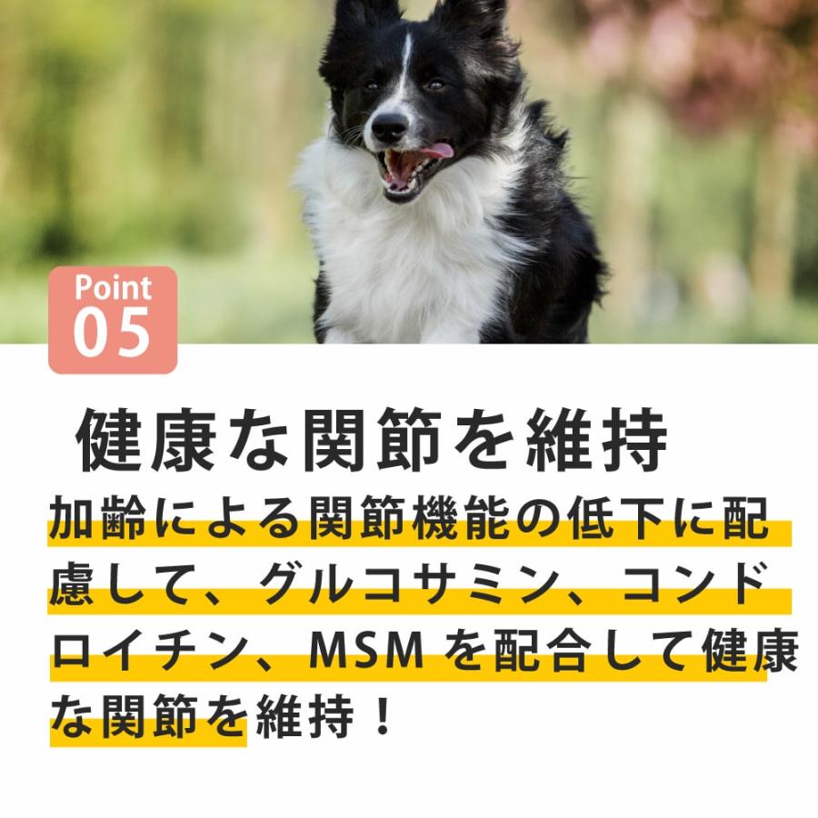 初回限定送料無料 犬用ドッグフード AATU アートゥー サーモン ドッグフード 1.5kg※2025年10月以降順次リニューアル |  | 05