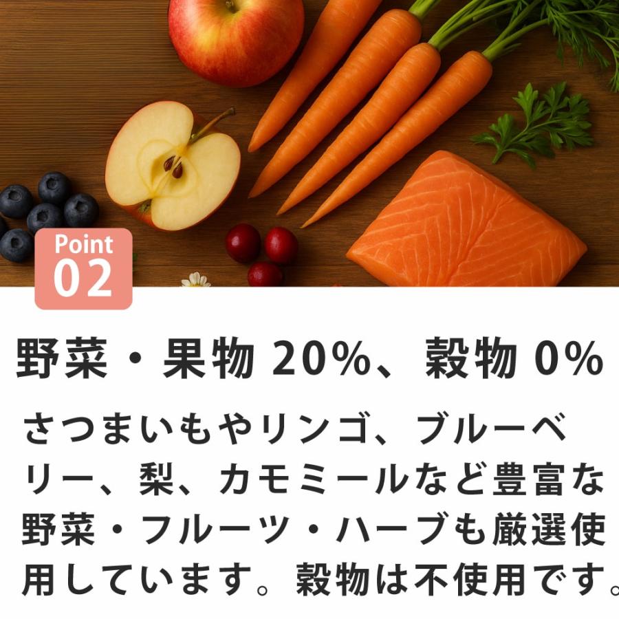 犬用AATU アートゥー サーモン ドッグフード 5kg※2025年10月以降順次リニューアル |  | 02