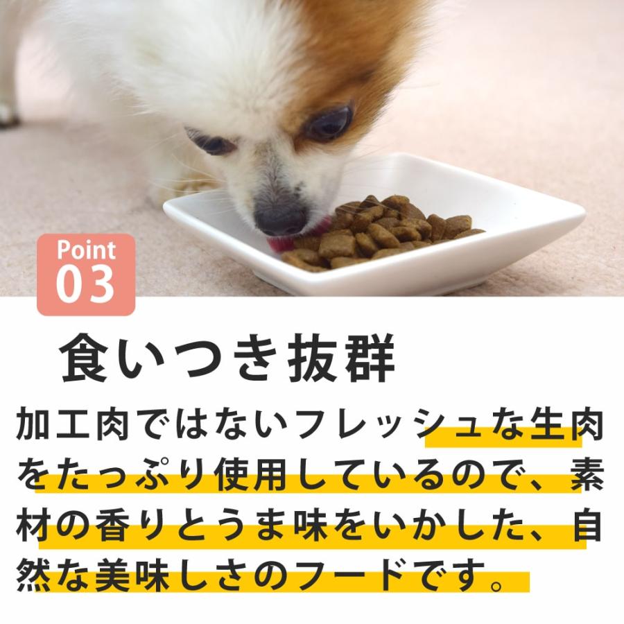 犬用AATU アートゥー サーモン ドッグフード 5kg※2025年10月以降順次リニューアル |  | 03