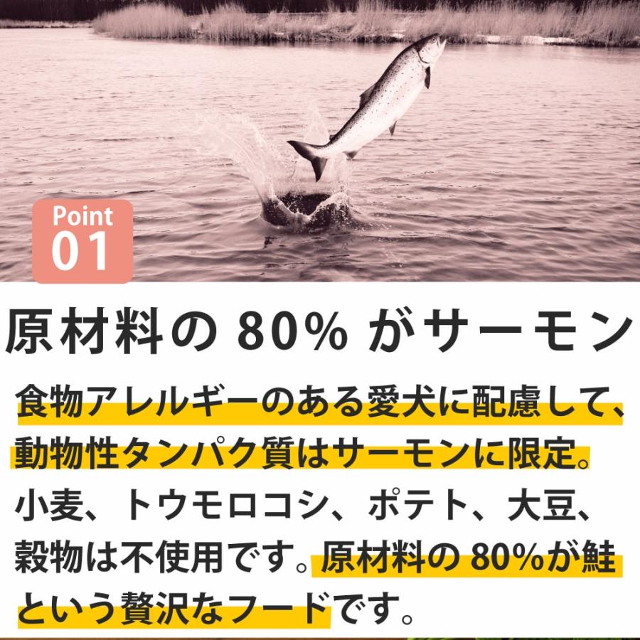 犬用AATU アートゥー サーモン ドッグフード 10kg※2025年10月以降順次リニューアル |  | 01