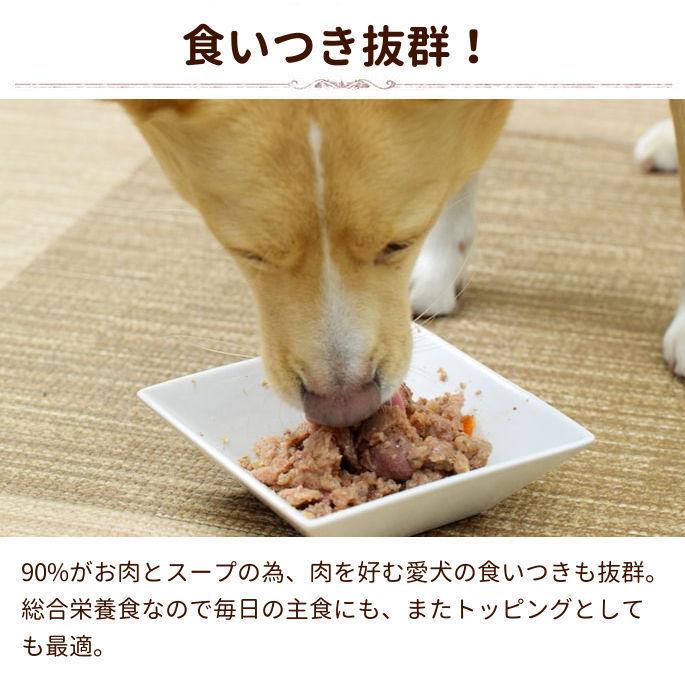 tu アートゥー ドッグフード 中型犬 ドライ 成犬 犬用 ドライフード 10kg 小型犬 老犬 ペットフード 美味しい 大型犬 ターキー