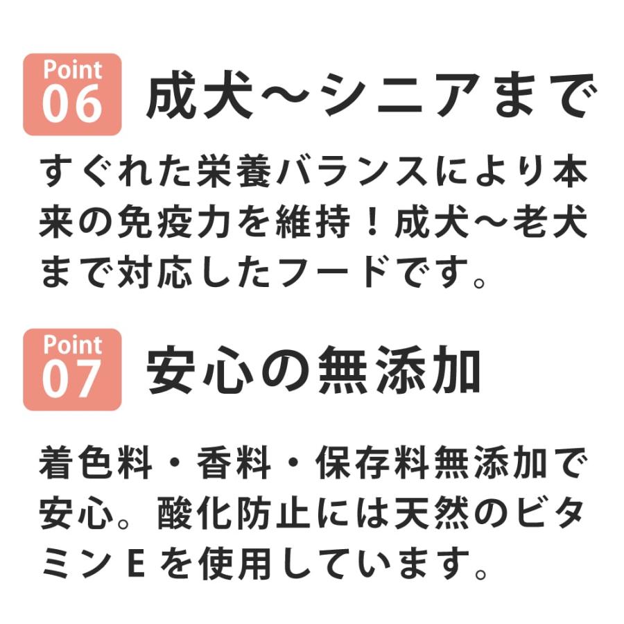 犬用AATUターキー 1.5kg ドッグフード ドライフード 総合栄養食 |  | 06