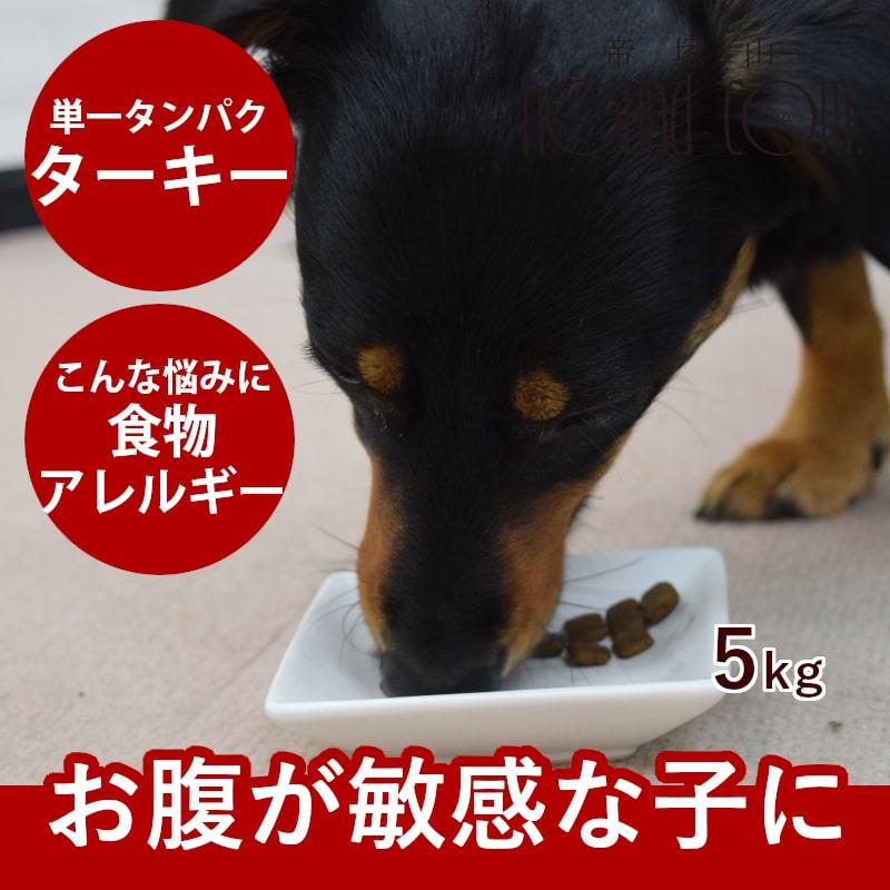 お取り寄せ 犬用AATUターキー 5kg ドライフード 総合栄養食 ドライフード 七面鳥 お届けまでに1週間程度かかります | 