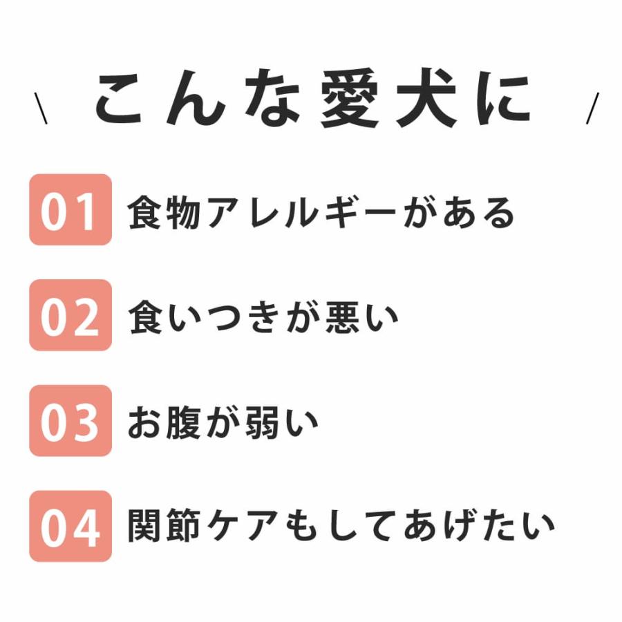 お取り寄せ お届けまで1週間程度かかります AATUターキー 10kg ドライフード 総合栄養食 犬用ドライフード 七面鳥 |  | 10