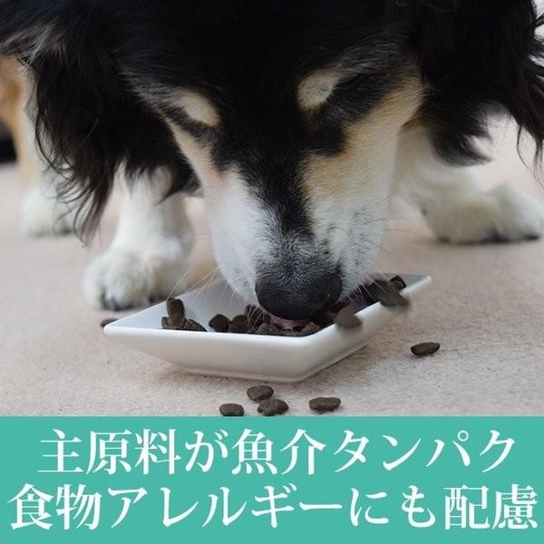 AATUシェルフィッシュ 1.5kg 犬用 ドライフード 総合栄養食 犬用 サーモン ニシン 貝 ほたて ザリガニ｜houndcom｜02