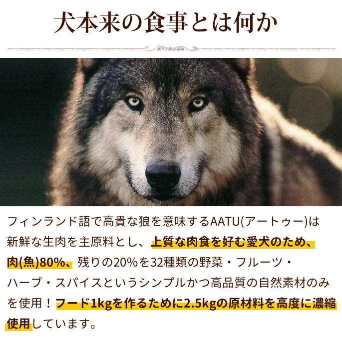 AATUシェルフィッシュ 1.5kg 犬用 ドライフード 総合栄養食 犬用 サーモン ニシン 貝 ほたて ザリガニ |  | 03