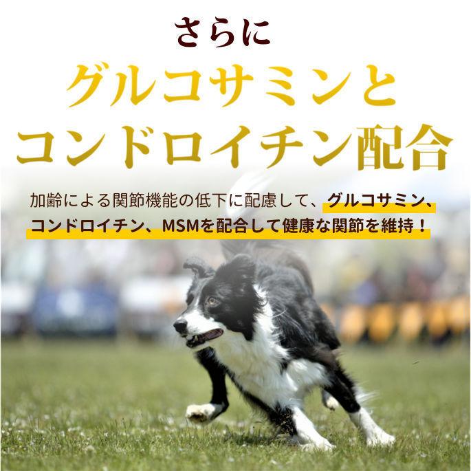 AATUシェルフィッシュ 1.5kg 犬用 ドライフード 総合栄養食 犬用 サーモン ニシン 貝 ほたて ザリガニ｜houndcom｜06