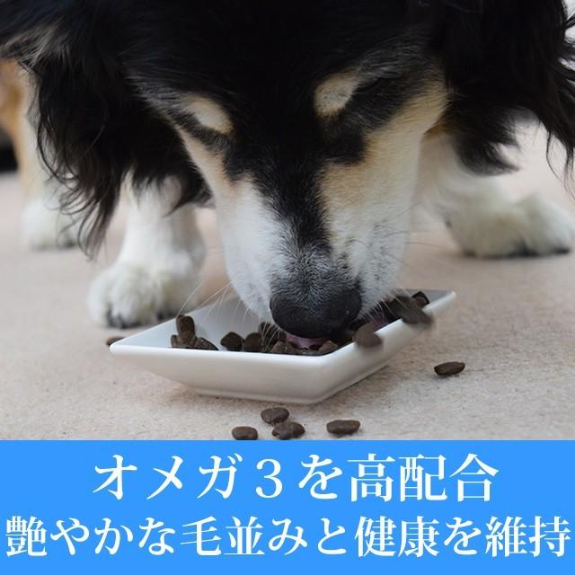 AATU パピーサーモン 1.5kg 犬用 グレインフリー 穀物不使用 ドッグフード 子犬 幼犬 魚 フィッシュ |  | 01