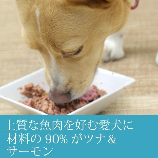 爆買 犬用 缶詰 ウェットフード ドッグフード 総合栄養食  AATU ツナ＆サーモン 缶詰 400g 防災 備蓄 保存食　2025年12月以降、順次ラベルデザインのみ変更予定 |  | 01