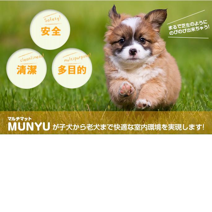大型犬用 マルチマット ムニュ 特殊関節保護商品 滑りにくいマット 防音 床ずれ予防 Am Mn001 犬手作りごはん帝塚山ハウンドカム 通販 Yahoo ショッピング