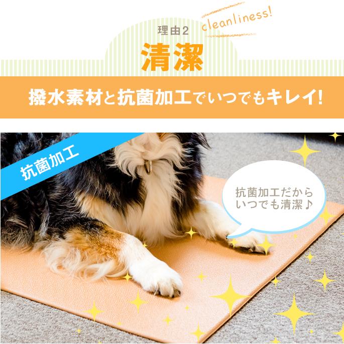 大型犬用 マルチマット ムニュ 特殊関節保護商品 滑りにくいマット