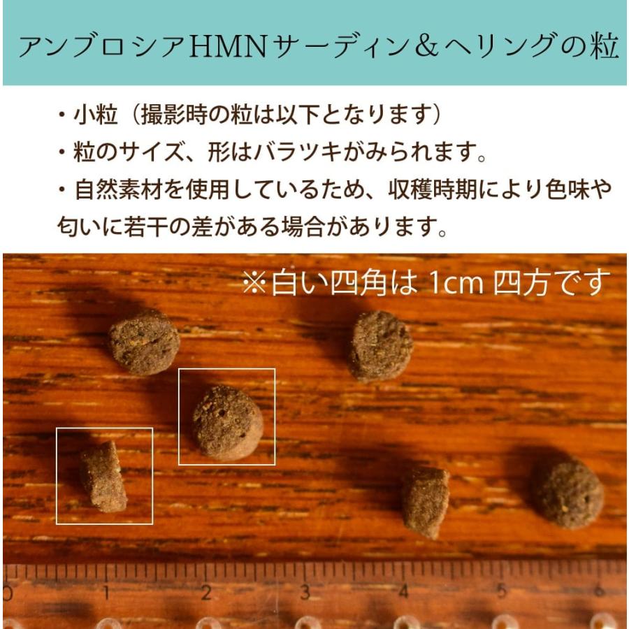アンブロシア　サーディン&ヘリング　５キロ アンブロシア HMNサーディン＆ヘリング 100g/1.5kg/5kg/12kg