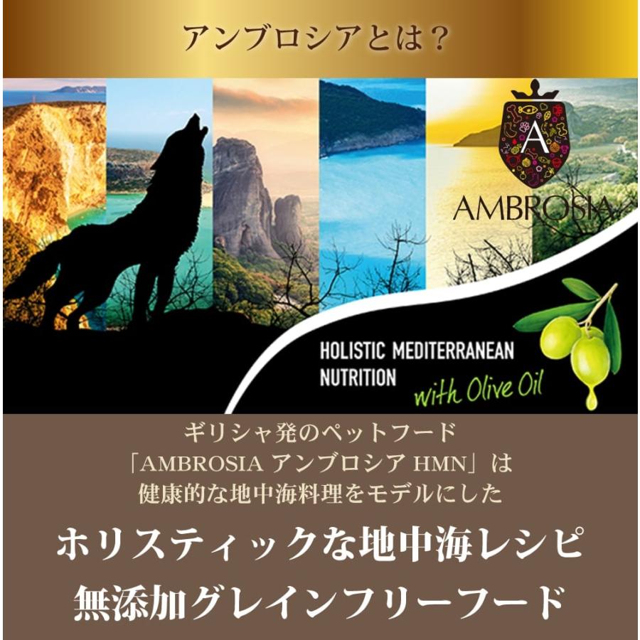 AMBROSIA（アンブロシア） HMNサーディン＆ヘリング 12kg 愛犬用