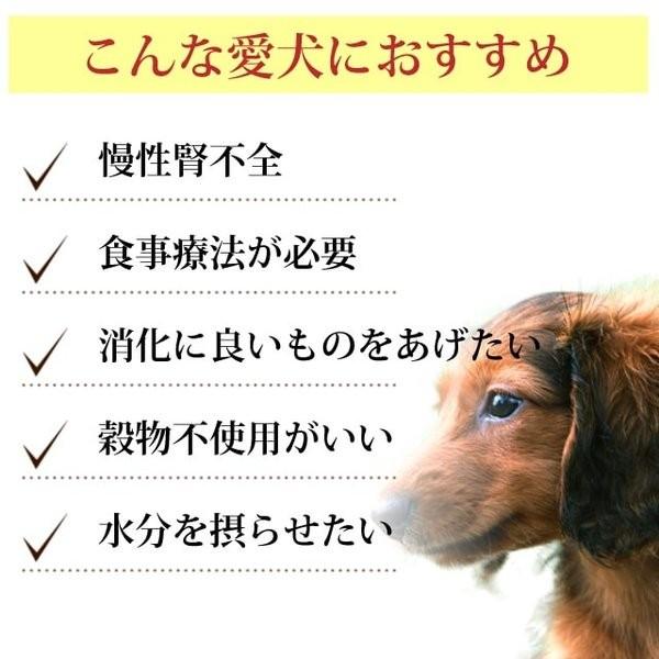 アニモンダ インテグラプロテクト 療法食 ニーレン 鶏 犬用 腎臓ケア ウェット 400g 12個セット 腎臓 療法食 腎不全 ウェットフード 防災 備蓄 保存食 | アニモンダ | 04