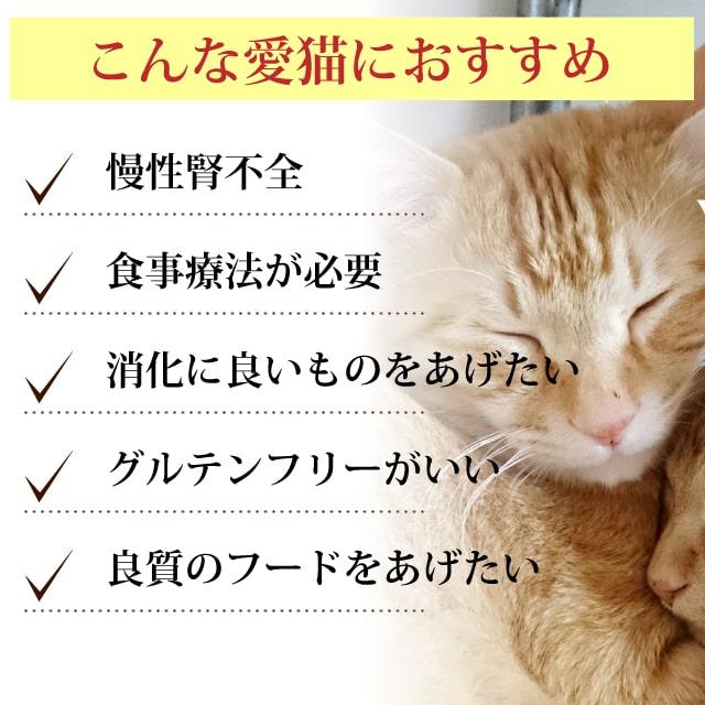 アニモンダ　猫インテグラプロテクト　ニーレン(腎臓ケア療法食)　 300g　ドライフード　キャットフード | アニモンダ | 04