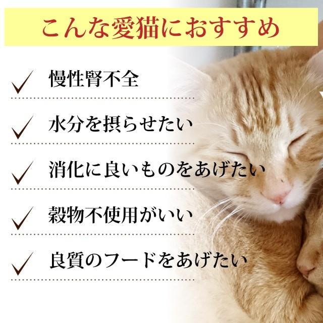 アニモンダ インテグラプロテクト 療法食 ニーレン 豚 猫用 腎臓ケア 100g | アニモンダ | 06