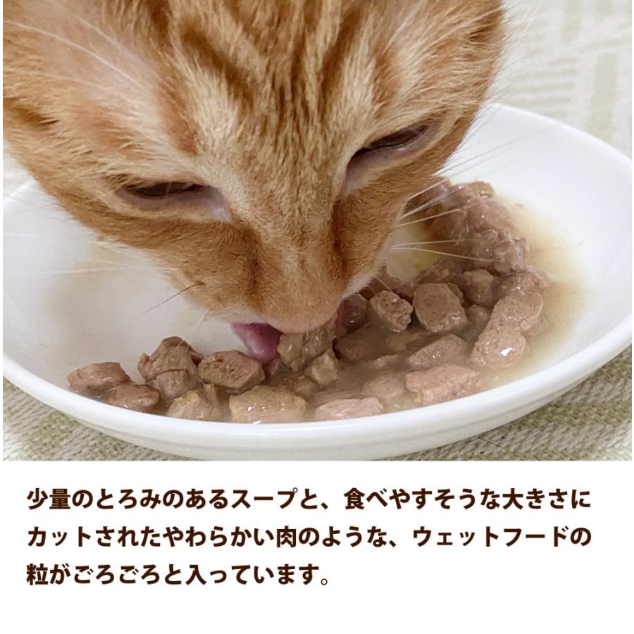 アニモンダ 猫インテグラプロテクト 腎臓ケア パウチ 85g×24袋セット 牛  食事療法食 キャットフード （ニーレン） | アニモンダ | 06