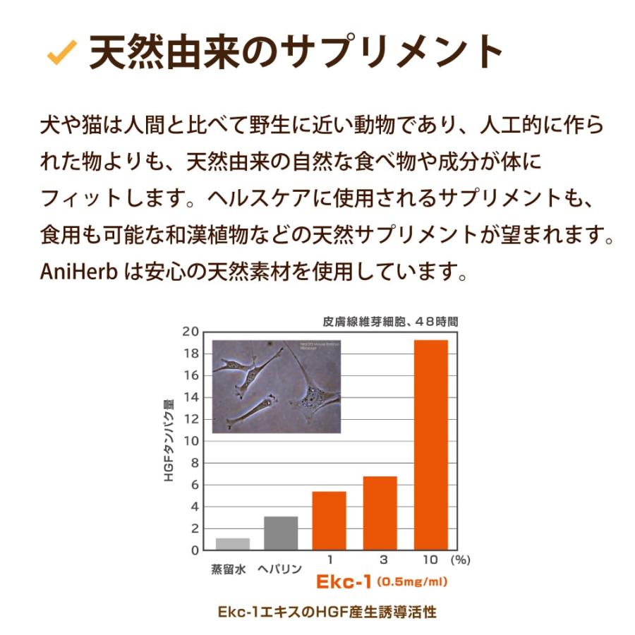 愛犬・愛猫用サプリメント AniHerb（アニハーブ） 60錠 犬猫のHGF