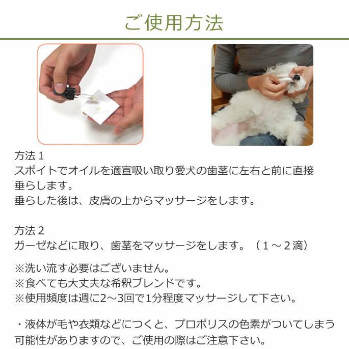 １００ 天然アロマ 歯茎のマッサージオイル 10ml Aroma0025 犬デンタルケア帝塚山ハウンドカム 通販 Yahoo ショッピング