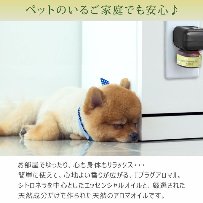 プラグアロマ アンチモスキートエクストラ セット ※プラグの色黒にリニューアルしています |  | 01