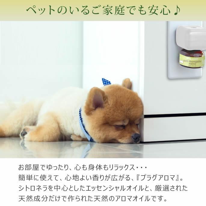 プラグアロマ　アンチモスキートエクストラ　交換用　25ml |  | 01