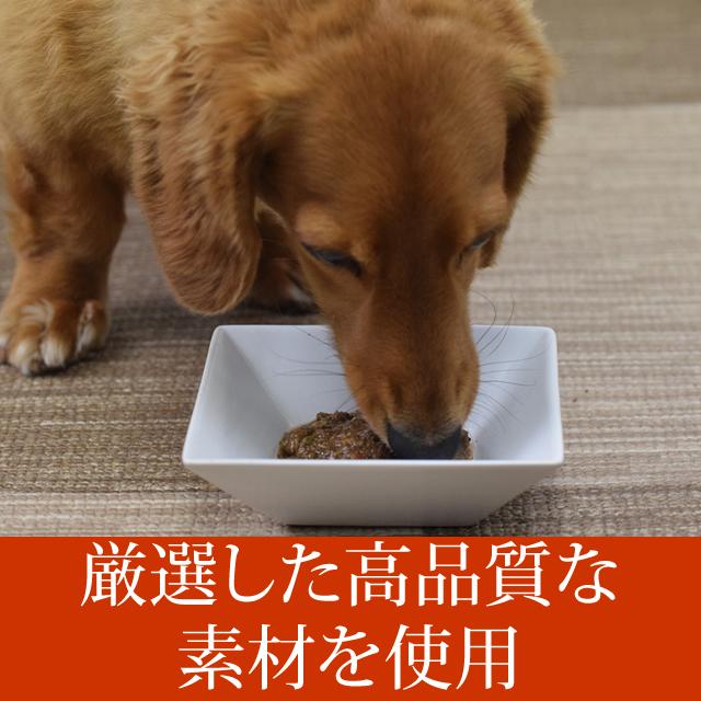 愛犬用 バランスライフ サーモン 3.5kg 以上