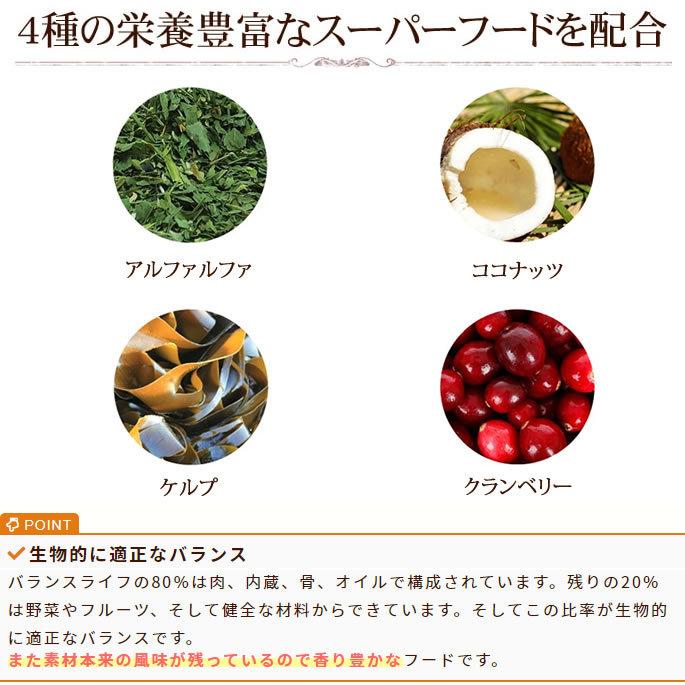 愛犬用 バランスライフ サーモン 3.5kg 以上