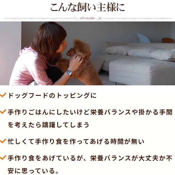 愛犬用 バランスライフ サーモン 3.5kg 以上