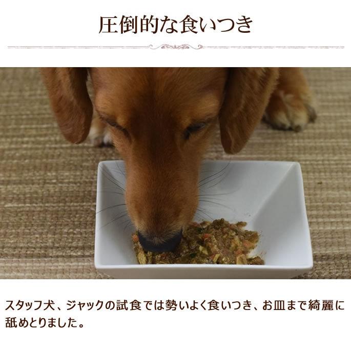 愛犬用 バランスライフ サーモン 3.5kg 以上