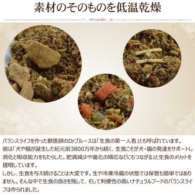 愛犬用 バランスライフ サーモン 3.5kg 以上