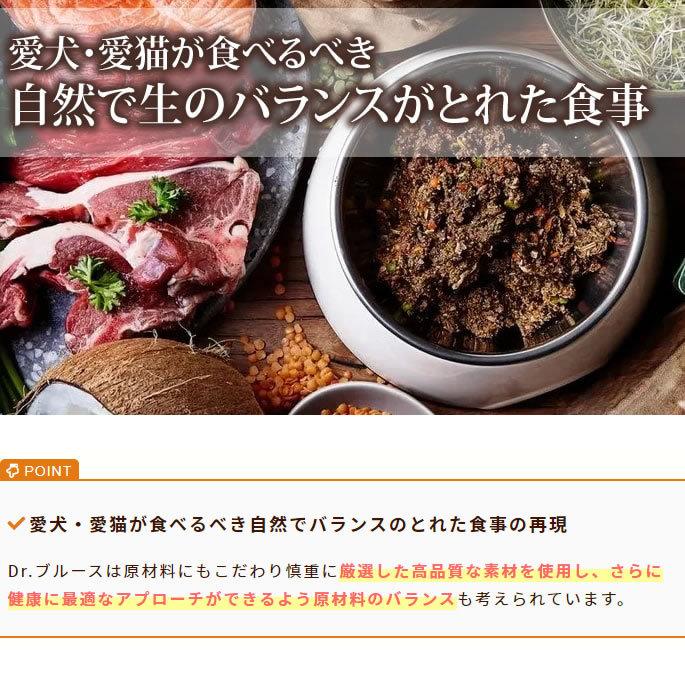 愛犬用 バランスライフ サーモン 3.5kg 以上