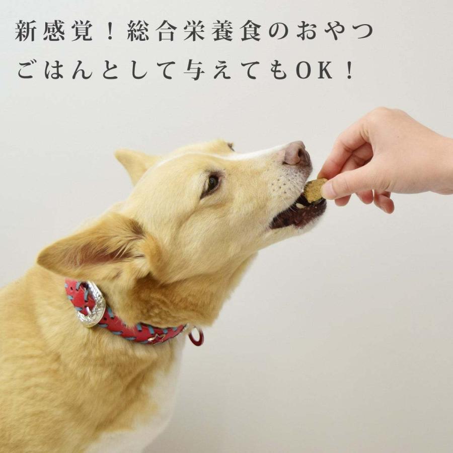 ビッグドッグ リトルバイツフリーズドライ チキン 160g 犬用 |  | 02