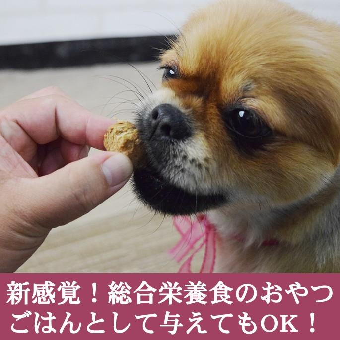 ビッグドッグ バイトサイズフリーズドライ タスマニアサーモン 160g 犬用 Barf Fdsa 犬デンタルケア帝塚山ハウンドカム 通販 Yahoo ショッピング