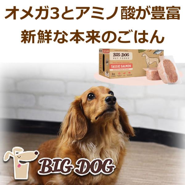 最高の品質の最高の品質の犬用 生食｜ビッグドッグ 冷凍生食12枚入