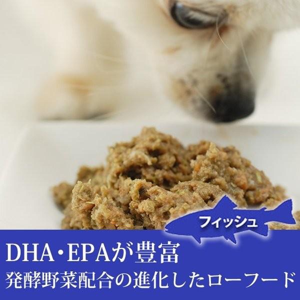 犬 生肉 無添加 ドッグフード ボーン BONE フィッシュ 魚 1.1kg 生食 ローフード 野菜入り 酵素 乳酸菌 生骨 離乳食 流動食 介護｜houndcom｜02