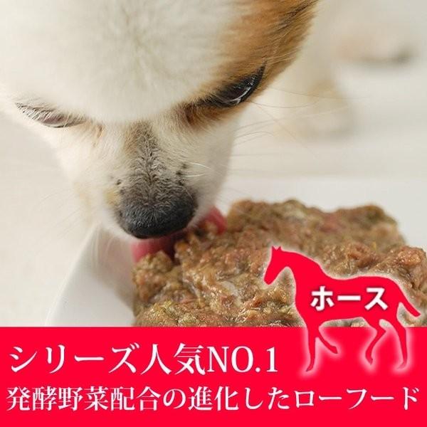 犬 ドッグフード 無添加 生食 ボーン BONE ホース 1.1kg｜houndcom｜02